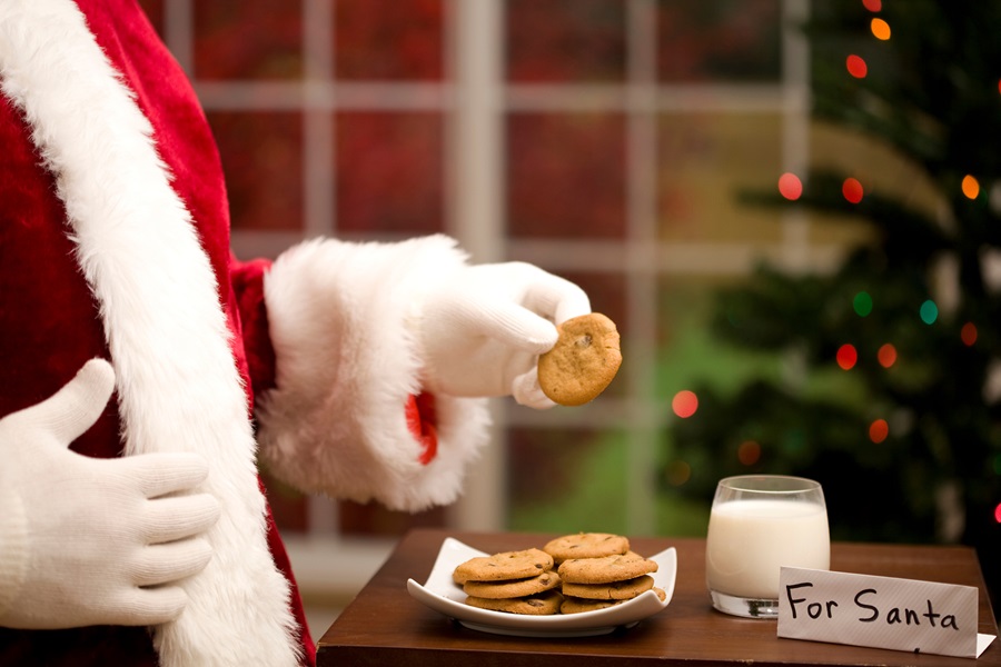 santa cam