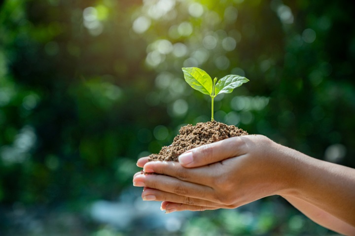 Cambio cantidad de bienes de consumo comprada