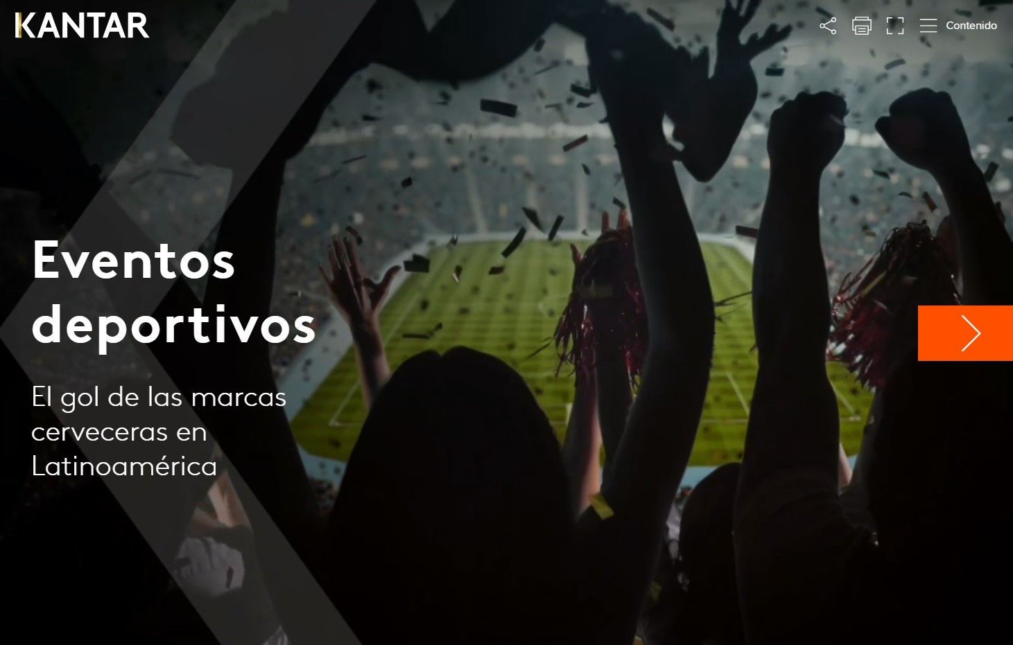 Turtl Beer and Sports