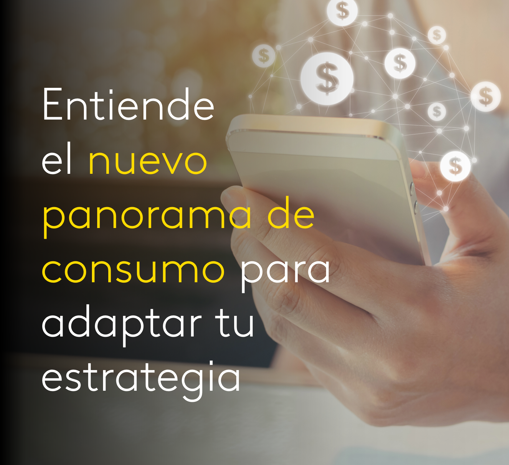 panorama consumo