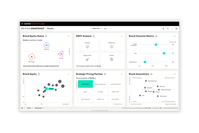 BrandSnapshot dashboard