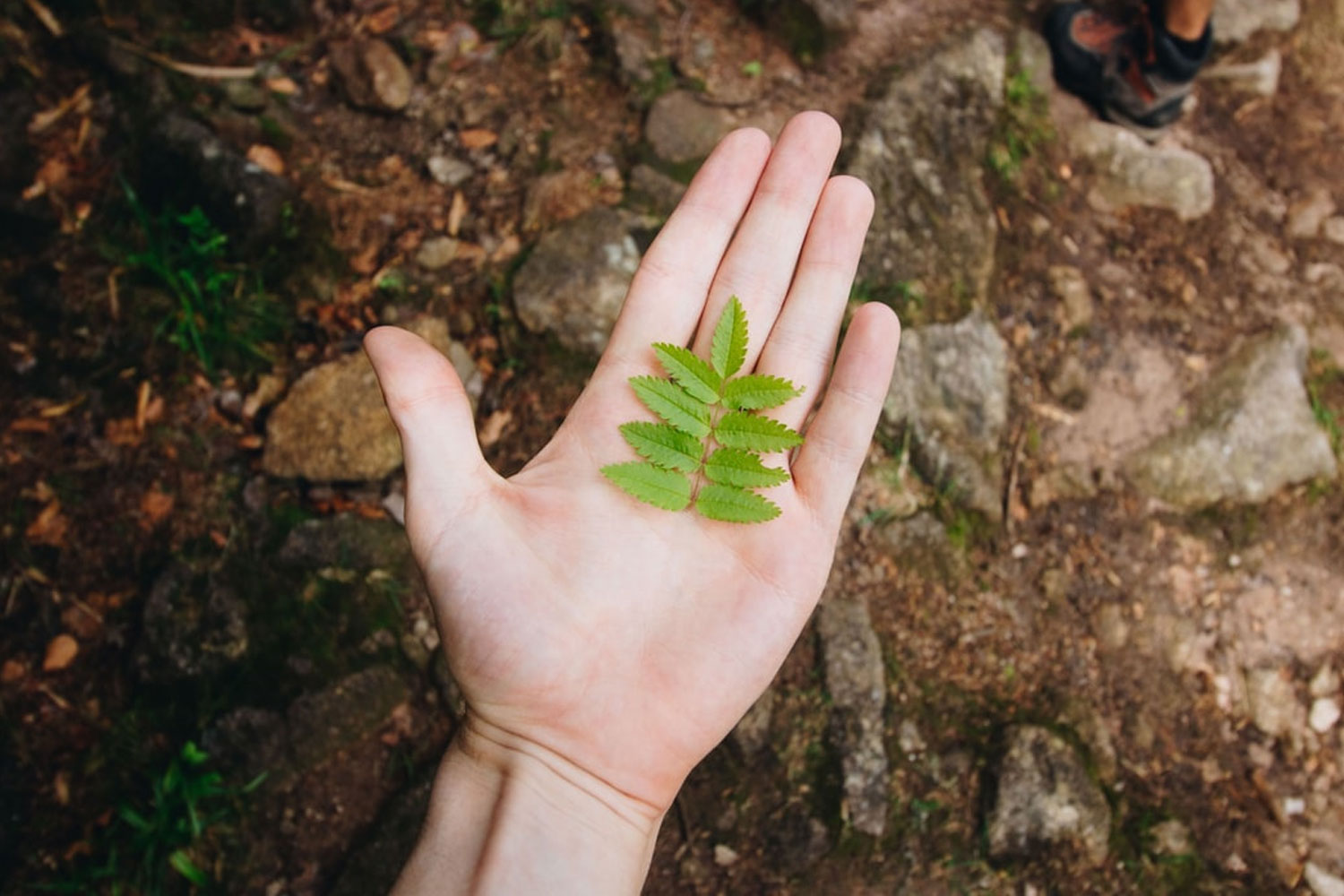 Kantar Sustainability