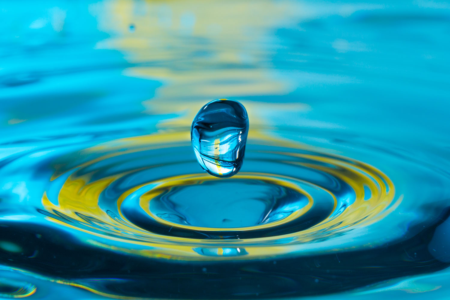 DX_webinar_march_31_Kantar