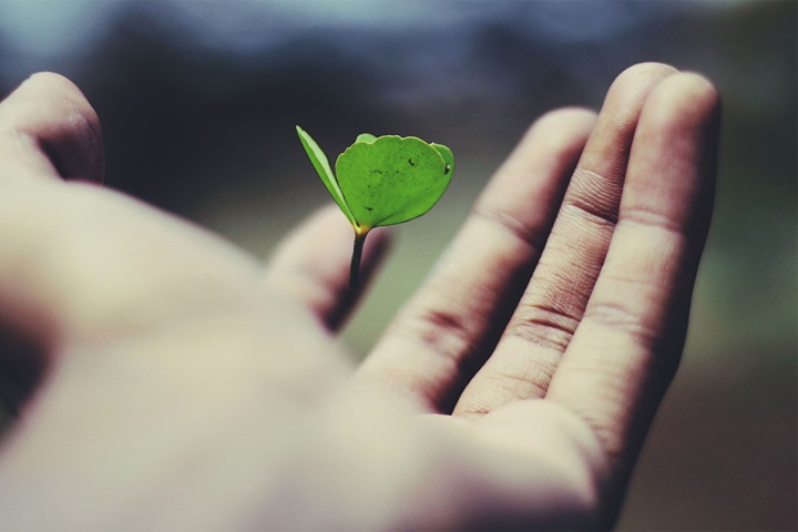 Whose job is it to bring Purpose and Sustainability together?