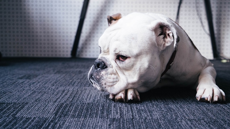 Still fielding long surveys? Your data are at risk.