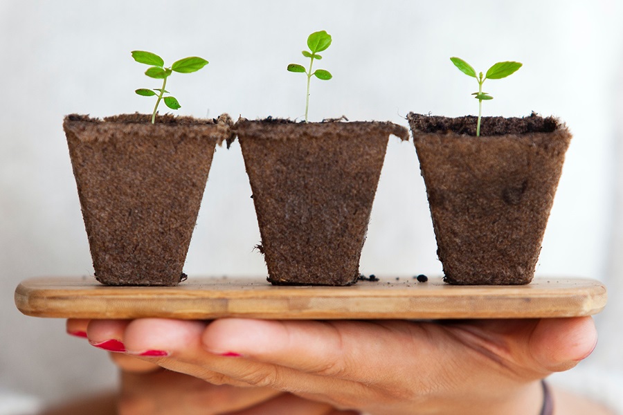 Finding your sweet spot for sustainable brand growth