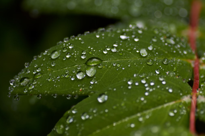 How to avoid greenwashing