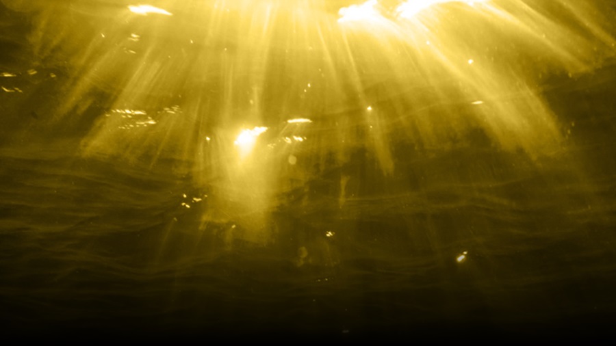 immersion series