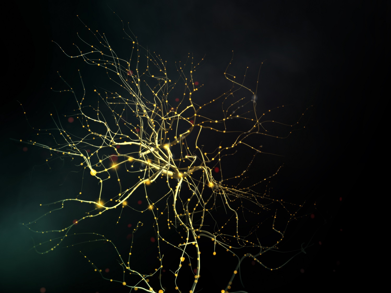 Neuromarketing essential for effective ads