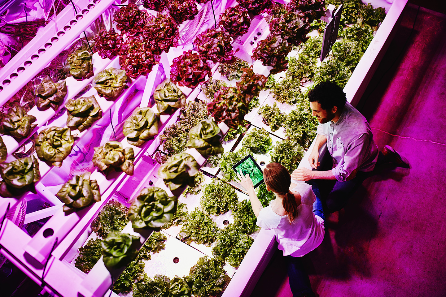 sustainability