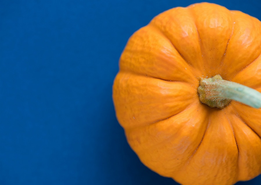 pumpkin