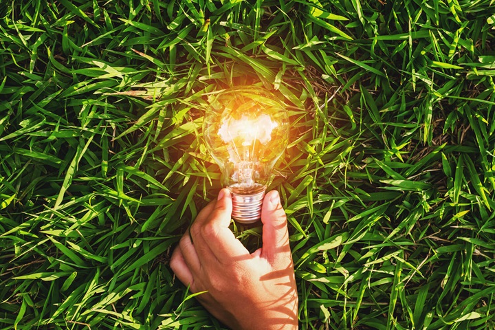 A lightbulb on a grass background