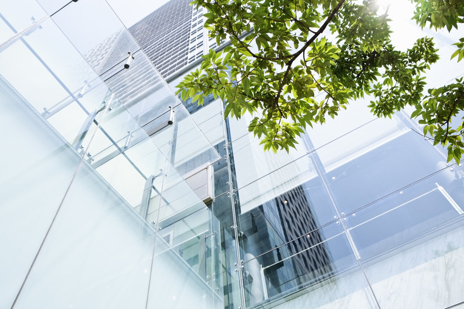 Environment, Social and Governance Sector News Report