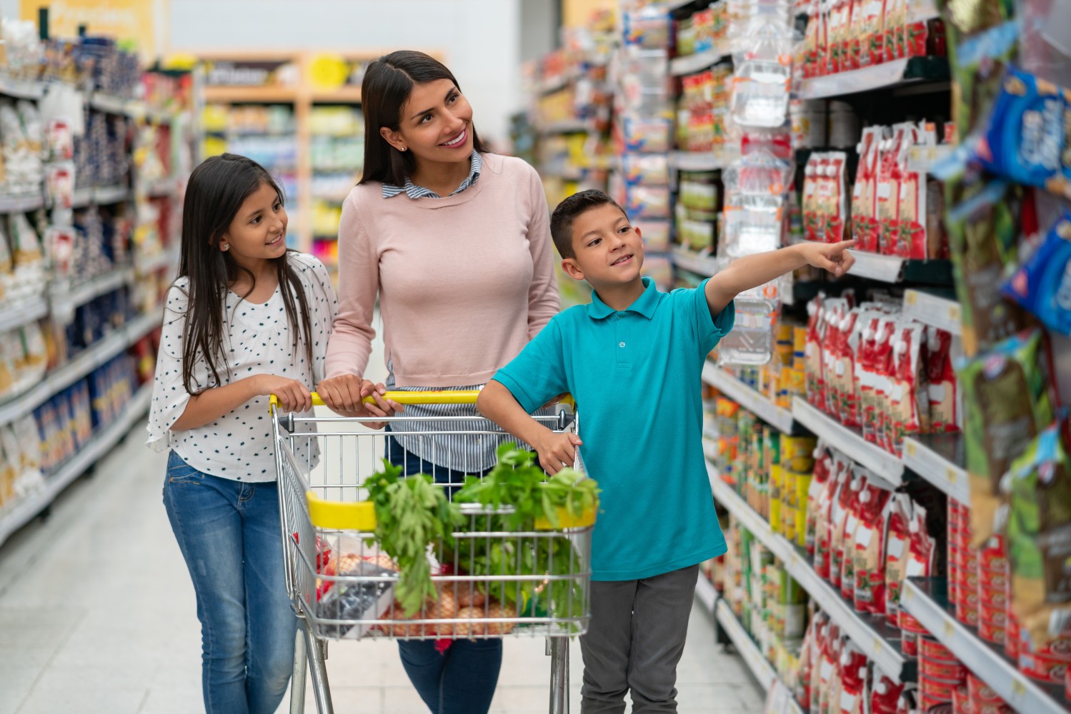 Irish Grocery Decline Softens As Shoppers Stock Up For Staycations Irish Grocery Decline Softens As Shoppers Stock Up For Staycations
