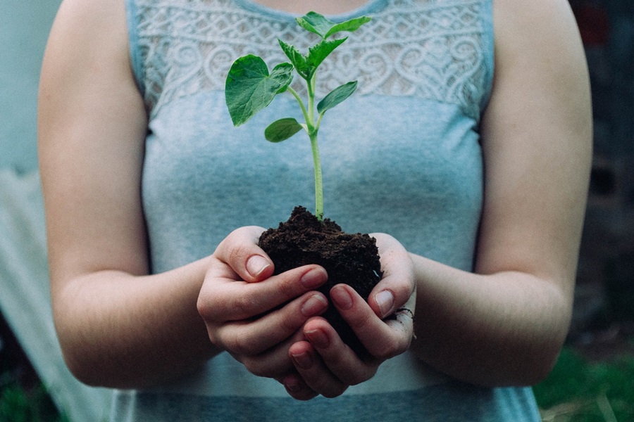 earth day environment uk