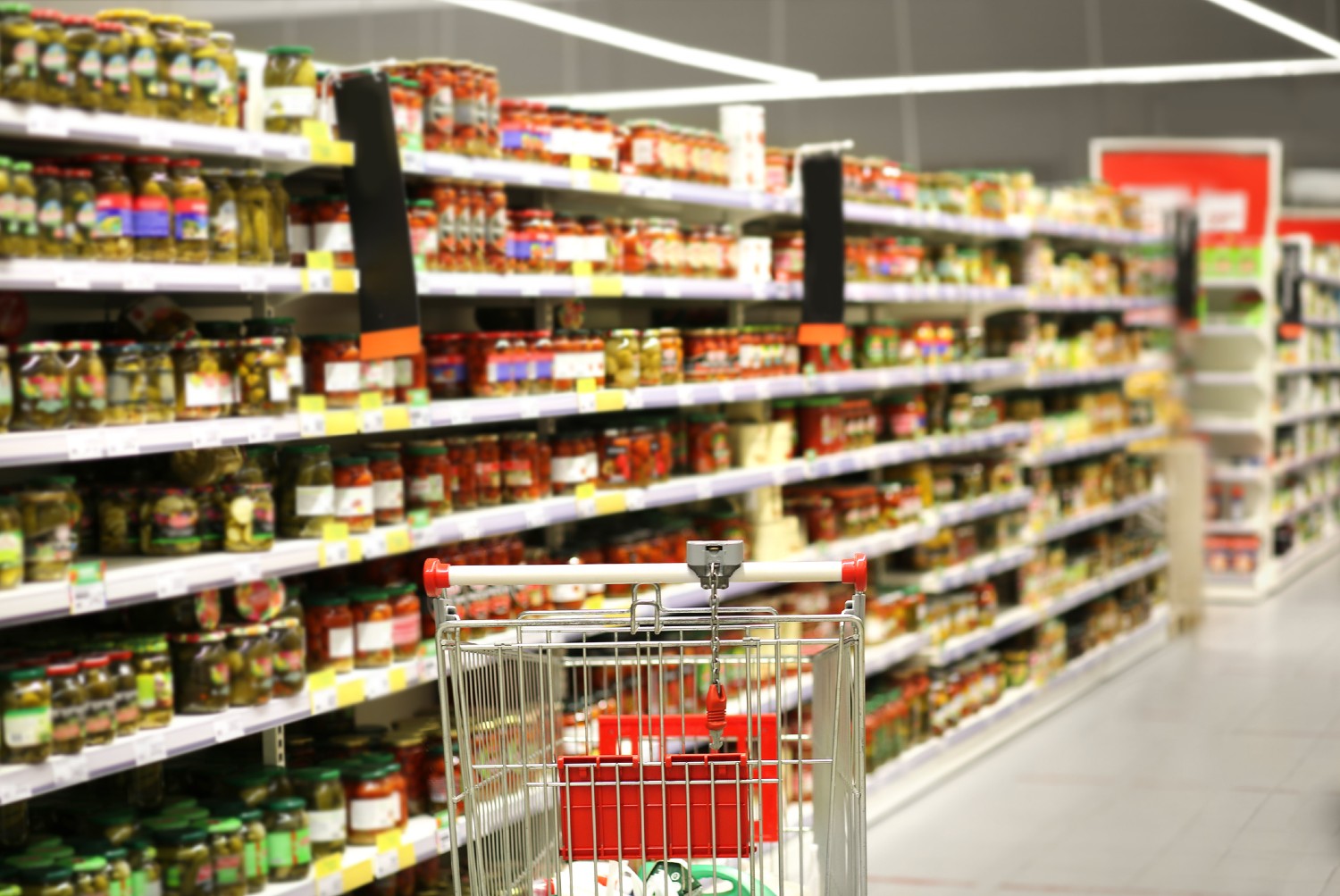 IRE GMS P8 2024 Website