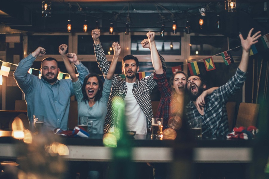 ireland_football_fan