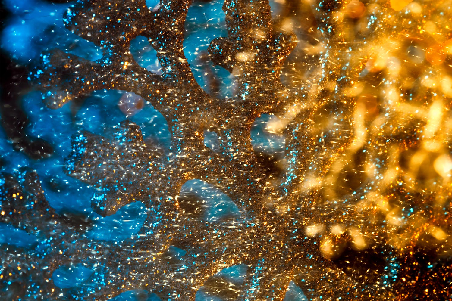 Kantar Christmas Ad Testing UK 2020