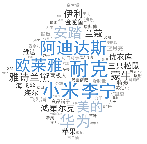 CN Singles Day Brands Bought Word Cloud